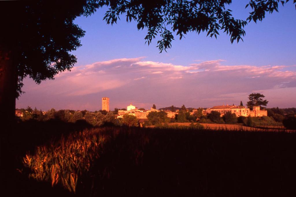 Апартаменты Antica Dimora Dell'Ortolano Castellaro  Экстерьер фото